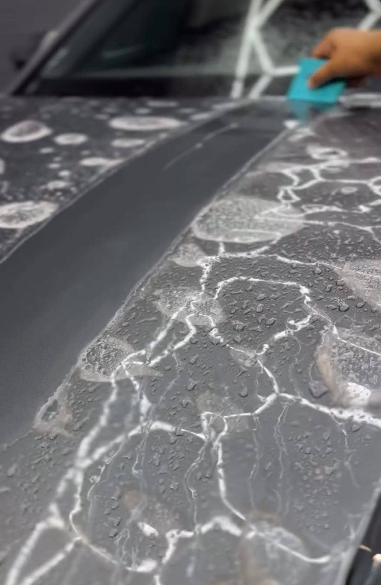 Installer squeegeeing window film onto glass